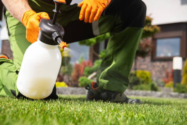 Best Pest Prevention Services  in Hauser, ID