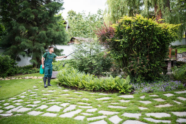 Best Local Pest Control Services  in Hauser, ID