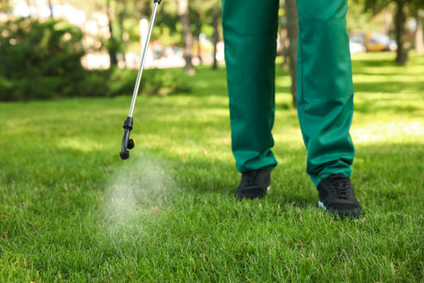Best Termite Control Services  in Hauser, ID
