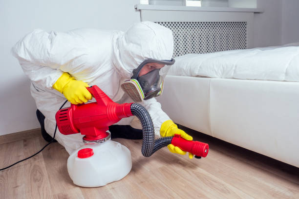 Best Rat Extermination Near Me  in Hauser, ID