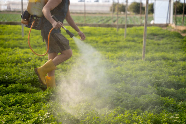 Best Residential Pest Control  in Hauser, ID