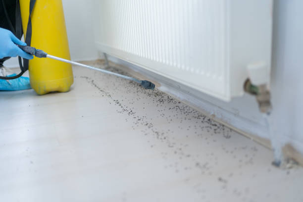 Best Best Pest Control Companies  in Hauser, ID